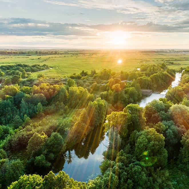 Vue aérienne d’un paysage naturel avec rivière et forêt au lever du soleil
